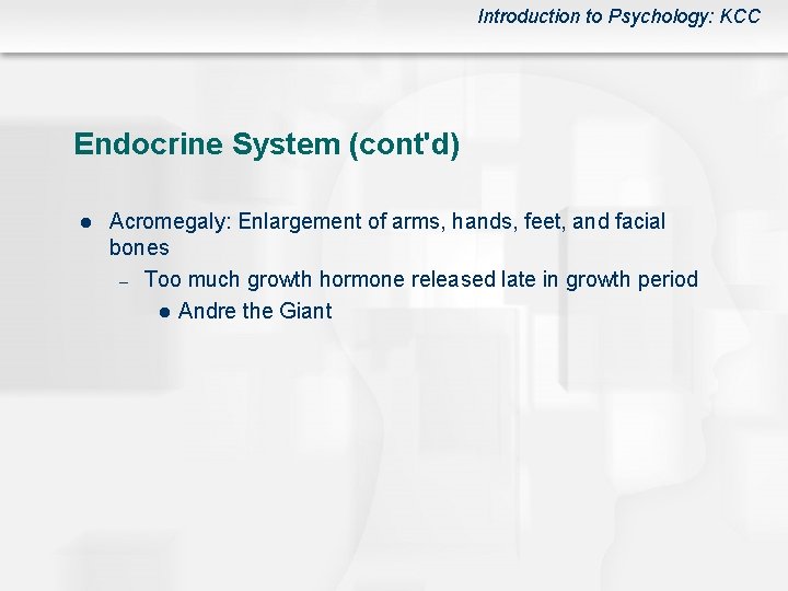 Introduction to Psychology: KCC Endocrine System (cont'd) l Acromegaly: Enlargement of arms, hands, feet,