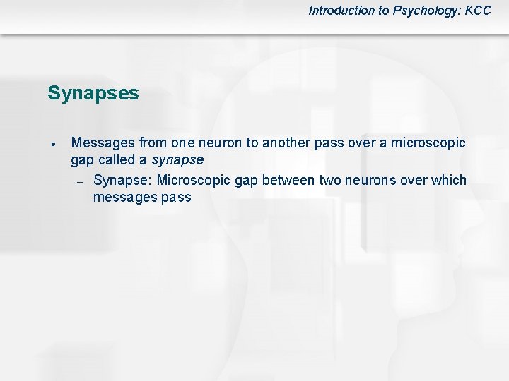 Introduction to Psychology: KCC Synapses Messages from one neuron to another pass over a