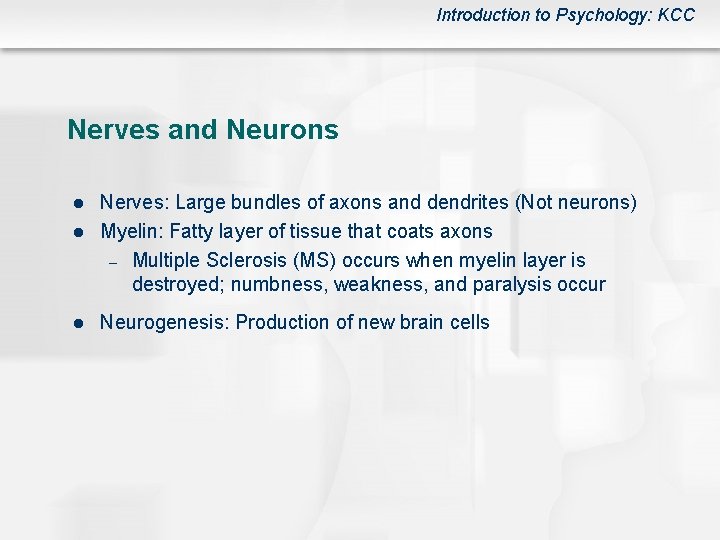 Introduction to Psychology: KCC Nerves and Neurons l l l Nerves: Large bundles of
