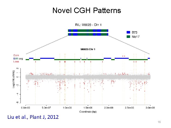 Novel CGH Patterns Liu et al. , Plant J, 2012 16 