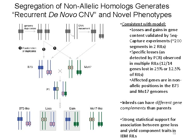 Segregation of Non-Allelic Homologs Generates “Recurrent De Novo CNV” and Novel Phenotypes • Consistent