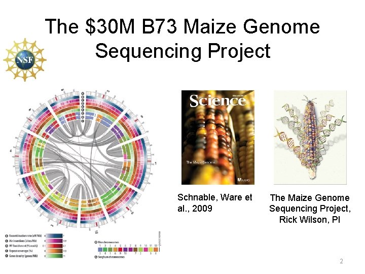The $30 M B 73 Maize Genome Sequencing Project Schnable, Ware et al. ,