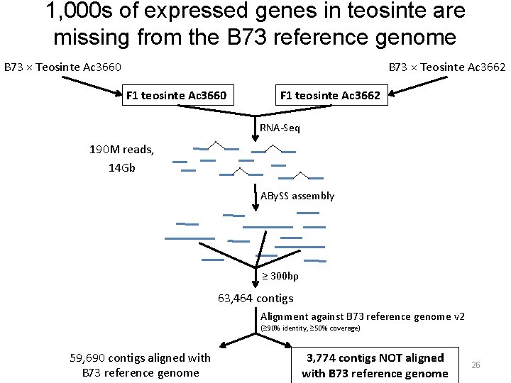 1, 000 s of expressed genes in teosinte are missing from the B 73