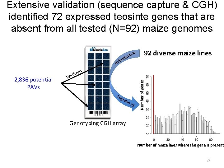 Extensive validation (sequence capture & CGH) identified 72 expressed teosinte genes that are absent