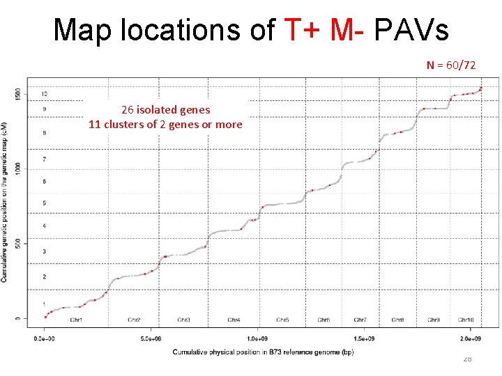 Map locations of T+ M- PAVs N = 60/72 26 isolated genes 11 clusters