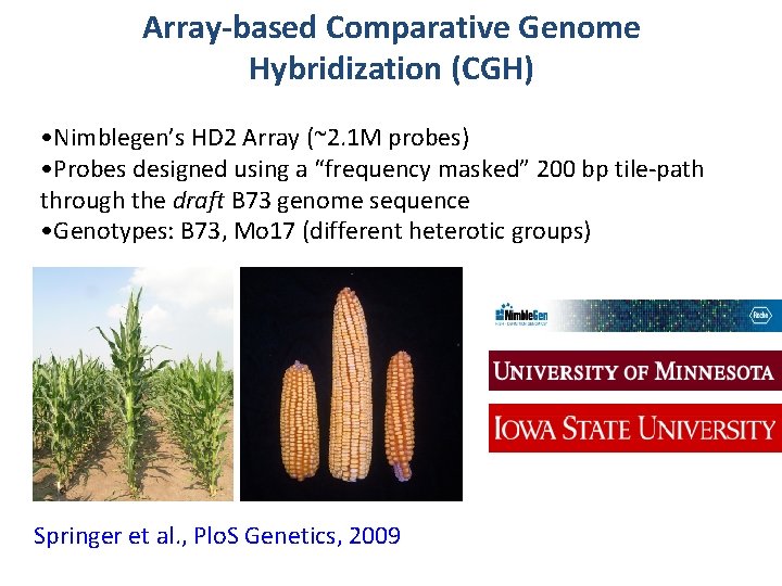 Array-based Comparative Genome Hybridization (CGH) • Nimblegen’s HD 2 Array (~2. 1 M probes)