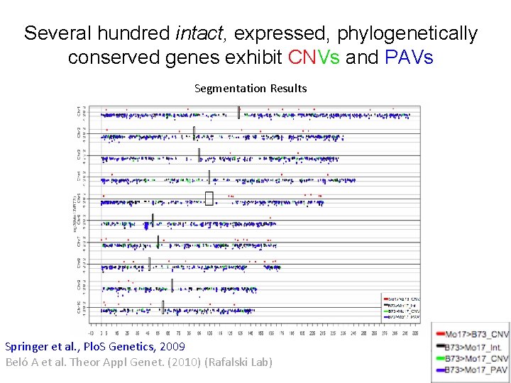 Several hundred intact, expressed, phylogenetically conserved genes exhibit CNVs and PAVs Segmentation Results Springer