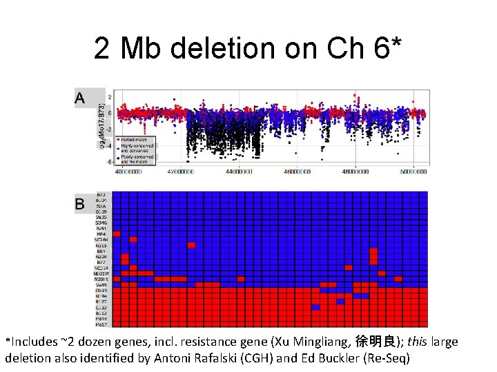 2 Mb deletion on Ch 6* *Includes ~2 dozen genes, incl. resistance gene (Xu