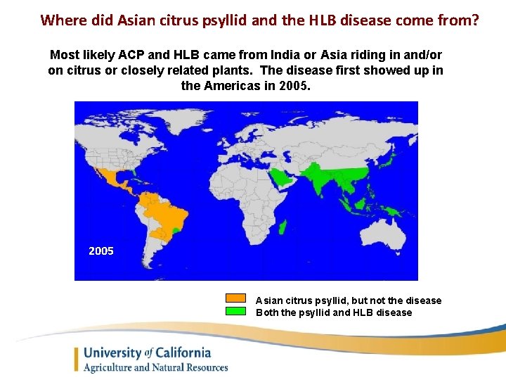 Where did Asian citrus psyllid and the HLB disease come from? Most likely ACP