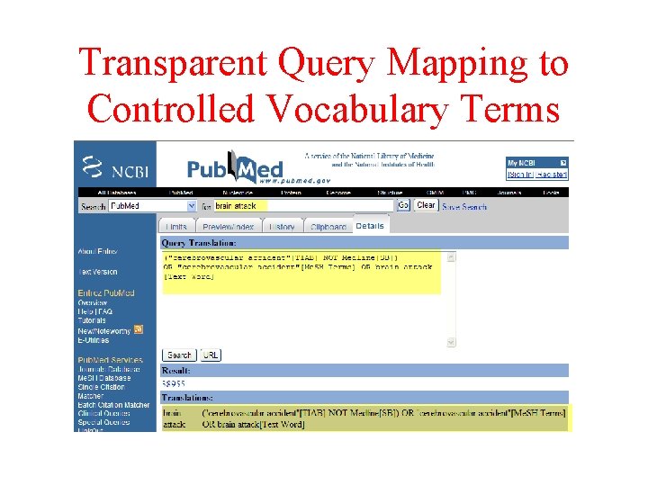 Transparent Query Mapping to Controlled Vocabulary Terms 