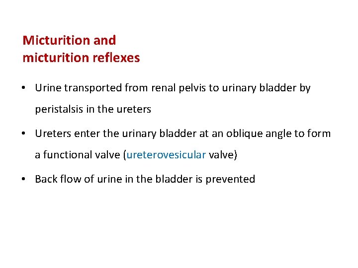 Micturition and micturition reflexes • Urine transported from renal pelvis to urinary bladder by