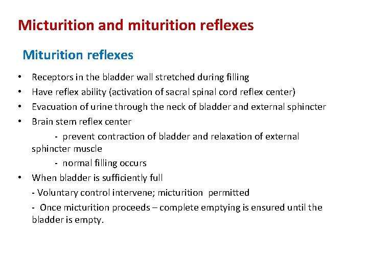 Micturition and miturition reflexes Miturition reflexes Receptors in the bladder wall stretched during filling Micturition and miturition reflexes Miturition reflexes Receptors in the bladder wall stretched during filling