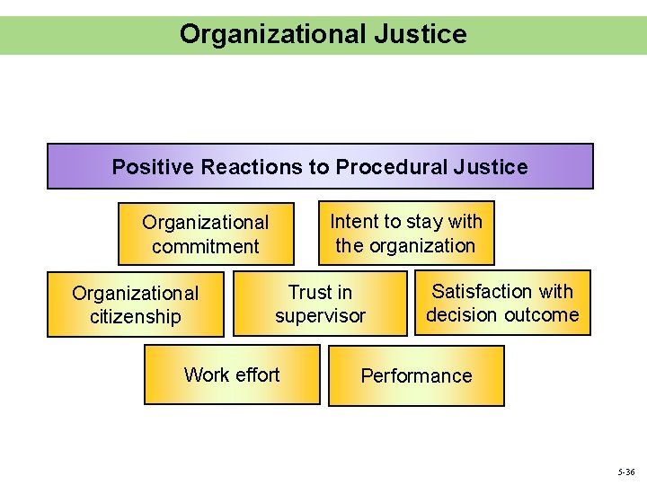 Organizational Justice Positive Reactions to Procedural Justice Intent to stay with the organization Organizational