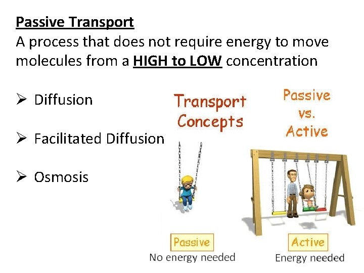 Passive Transport A process that does not require energy to move molecules from a Passive Transport A process that does not require energy to move molecules from a