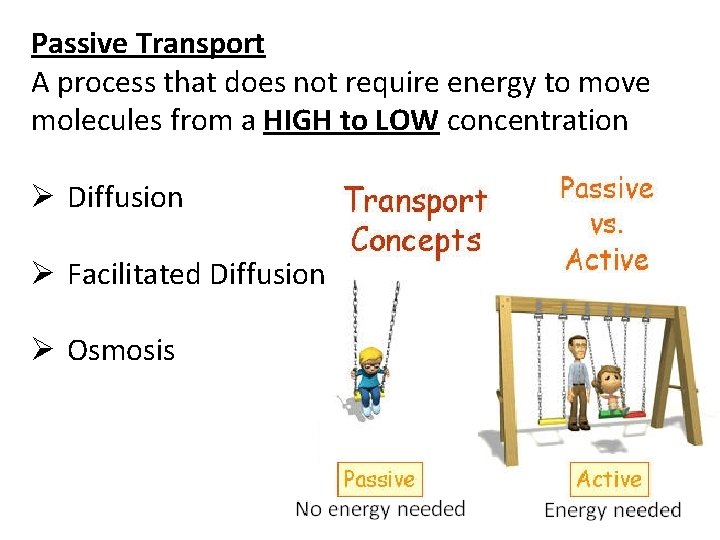 Passive Transport A process that does not require energy to move molecules from a