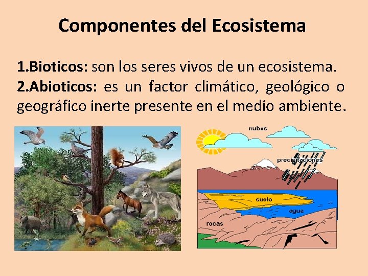 Componentes del Ecosistema 1. Bioticos: son los seres vivos de un ecosistema. 2. Abioticos: