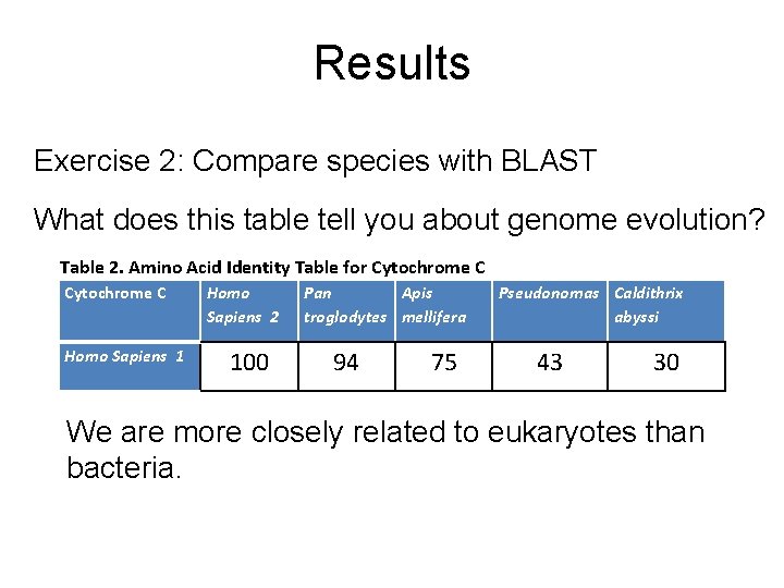 Results Exercise 2: Compare species with BLAST What does this table tell you about