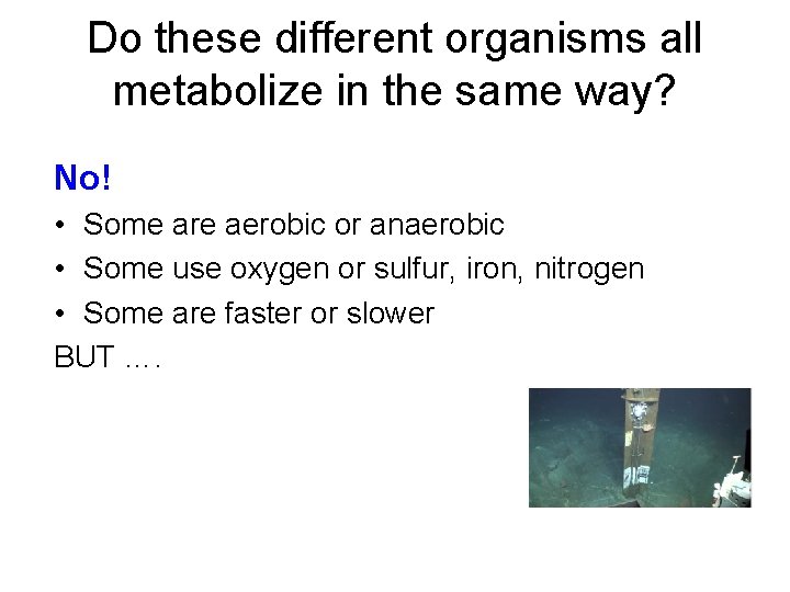 Do these different organisms all metabolize in the same way? No! • Some are