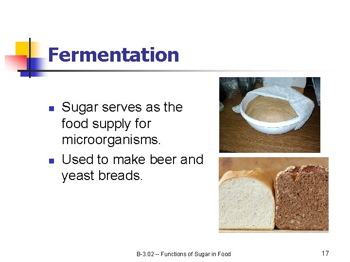 Fermentation n n Sugar serves as the food supply for microorganisms. Used to make