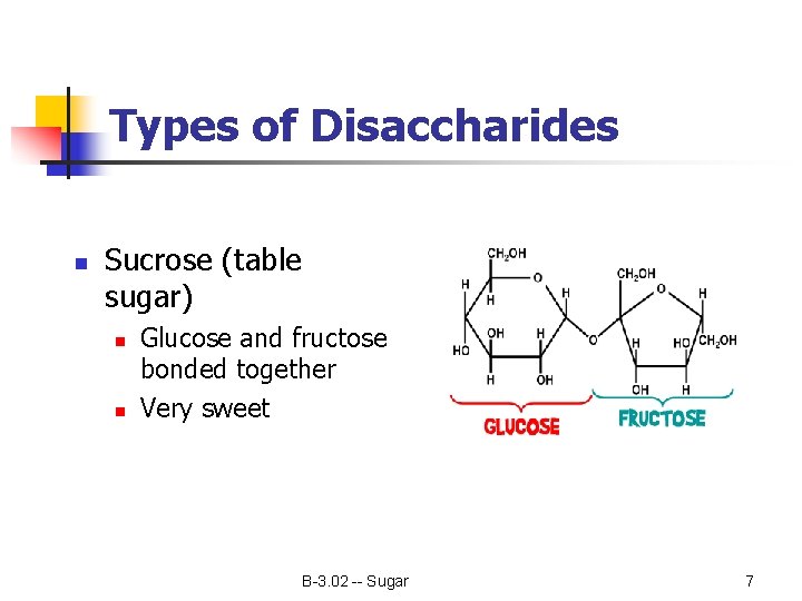 Types of Disaccharides n Sucrose (table sugar) n n Glucose and fructose bonded together