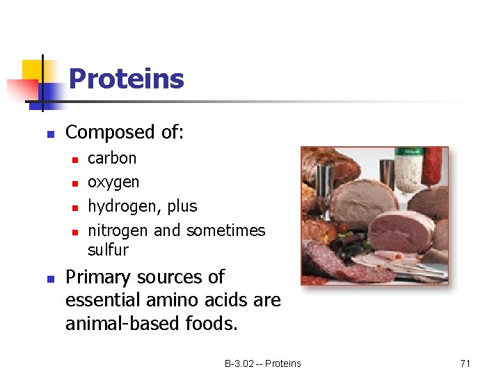 Proteins n Composed of: n n n carbon oxygen hydrogen, plus nitrogen and sometimes