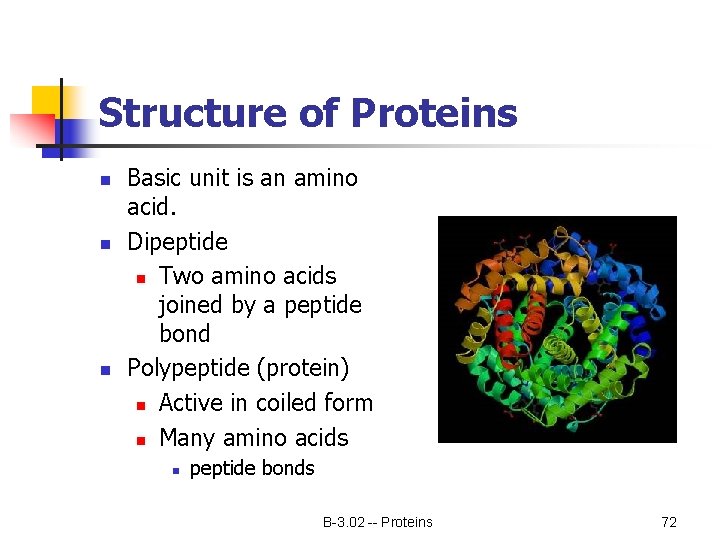 Structure of Proteins n n n Basic unit is an amino acid. Dipeptide n