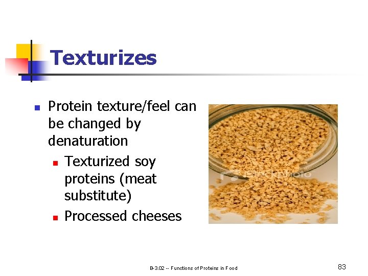 Texturizes n Protein texture/feel can be changed by denaturation n Texturized soy proteins (meat