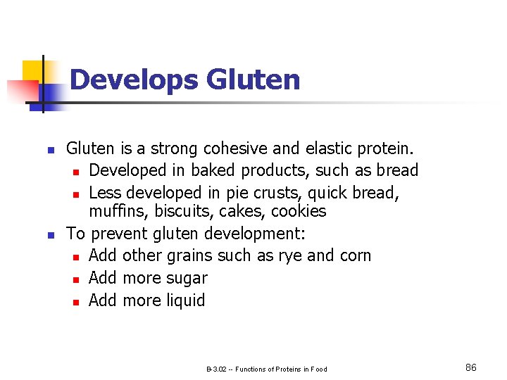 Develops Gluten n n Gluten is a strong cohesive and elastic protein. n Developed