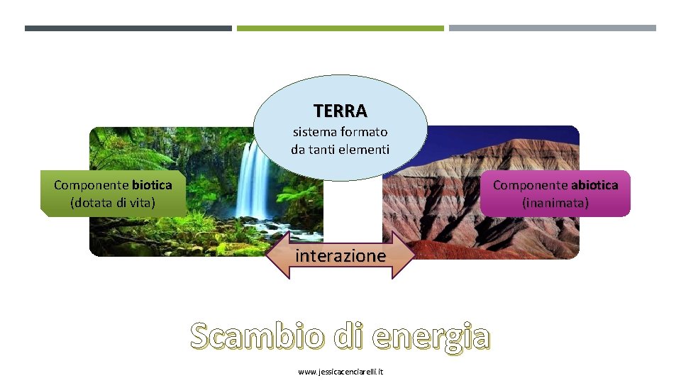 TERRA sistema formato da tanti elementi Componente abiotica (inanimata) Componente biotica (dotata di vita)