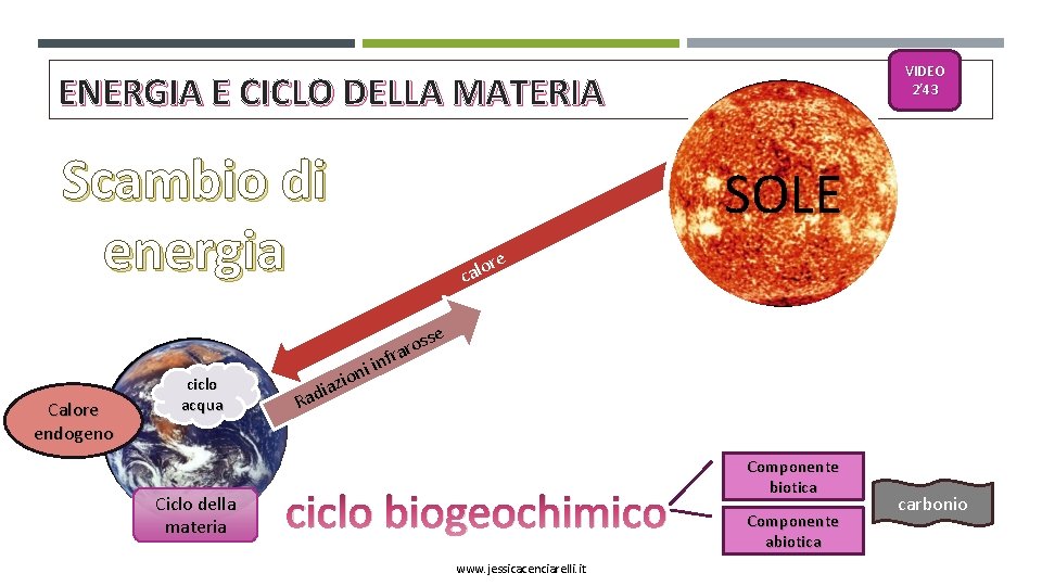 VIDEO 2’ 43 ENERGIA E CICLO DELLA MATERIA Scambio di energia Calore endogeno ciclo
