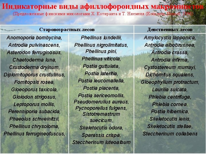 Индикаторные виды афиллофороидных макромицетов (Предложенные финскими микологами Х. Котиранта и Т. Ниемеля (Kotiranta, Niemel,