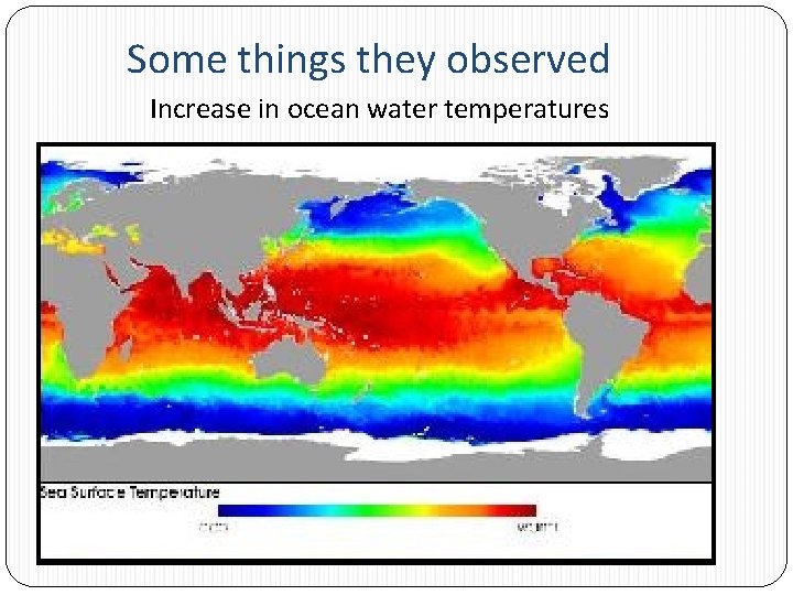 Some things they observed Increase in ocean water temperatures 