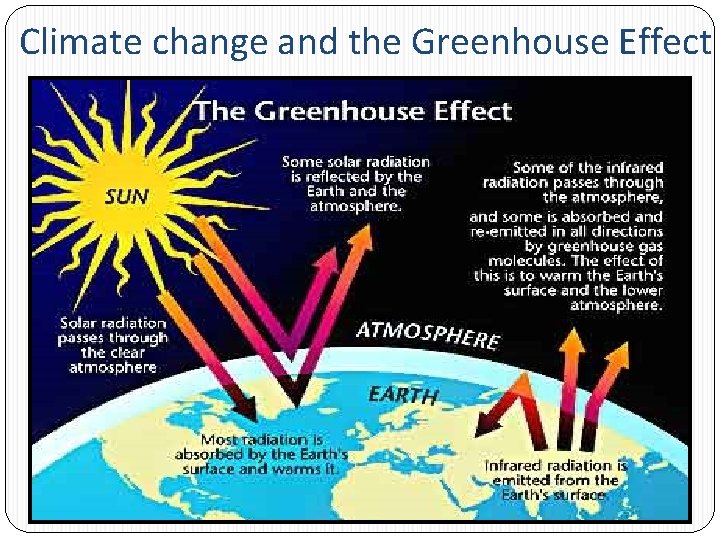 Climate change and the Greenhouse Effect 