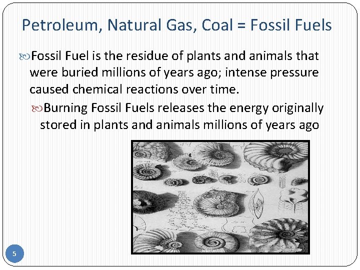 Petroleum, Natural Gas, Coal = Fossil Fuels Fossil Fuel is the residue of plants