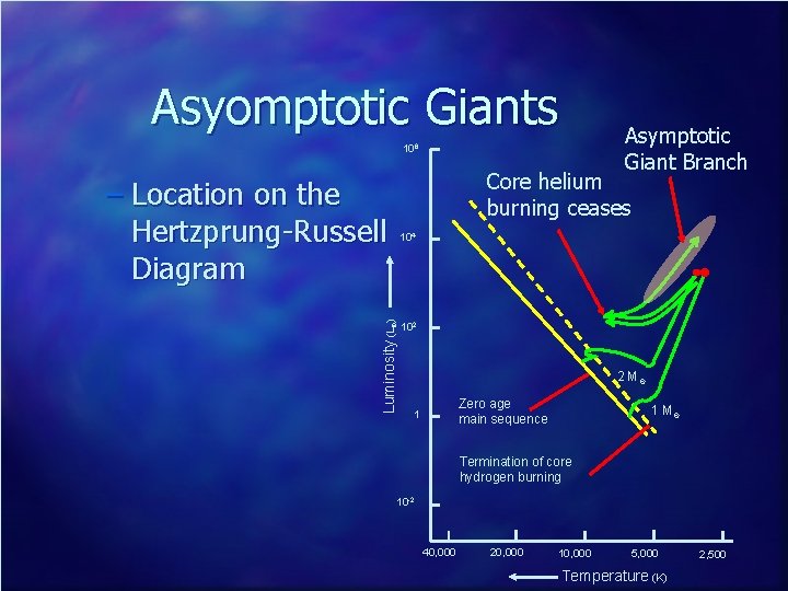 Asyomptotic Giants Asymptotic Giant Branch 106 Core helium burning ceases – Location on the