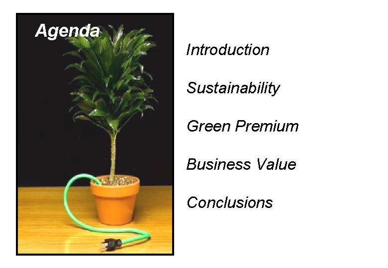 Agenda Introduction Sustainability Green Premium Business Value Conclusions 