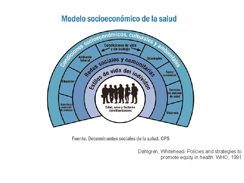 Dahlgren, Whitehead. Policies and strategies to promote equity in health. WHO, 1991 