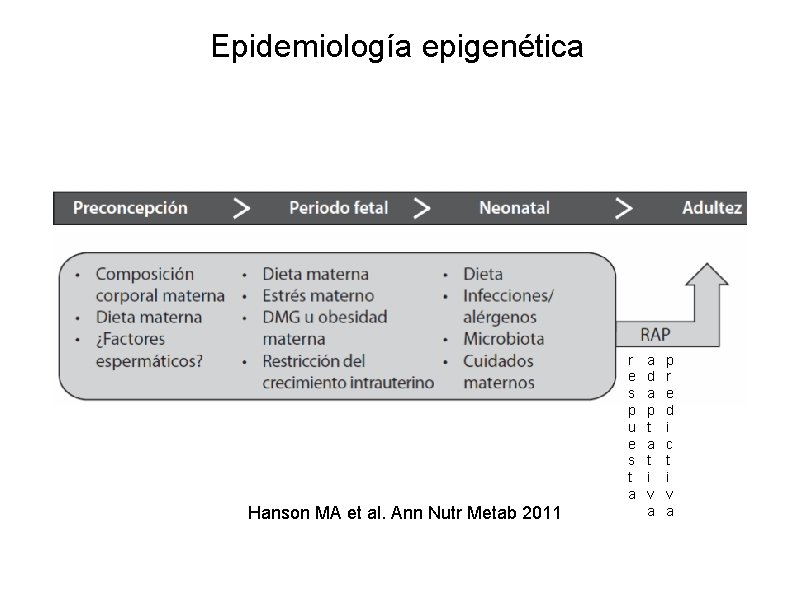 Epidemiología epigenética r e s p u e s t a Hanson MA et