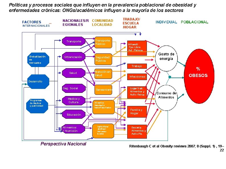 Políticas y procesos sociales que influyen en la prevalencia poblacional de obesidad y enfermedades