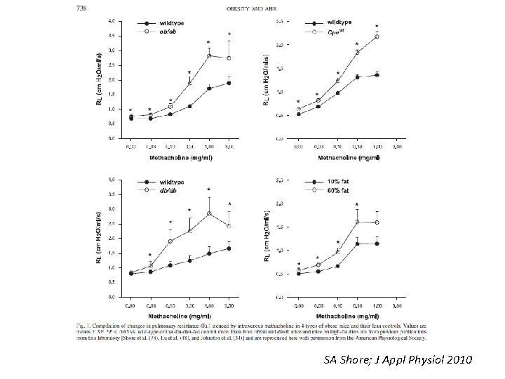 SA Shore; J Appl Physiol 2010 