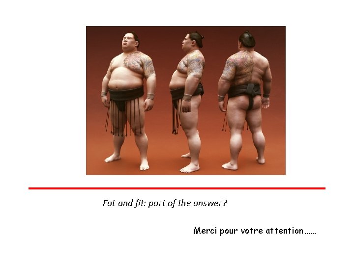 Fat and fit: part of the answer? Merci pour votre attention…… 