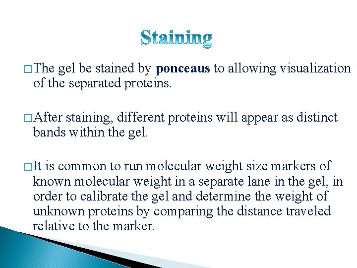 � The gel be stained by ponceaus to allowing visualization of the separated proteins.