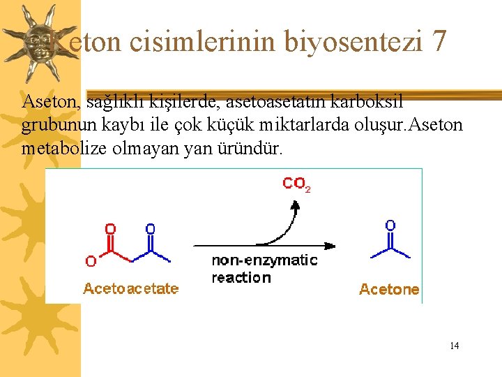 Keton cisimlerinin biyosentezi 7 Aseton, sağlıklı kişilerde, asetoasetatın karboksil grubunun kaybı ile çok küçük