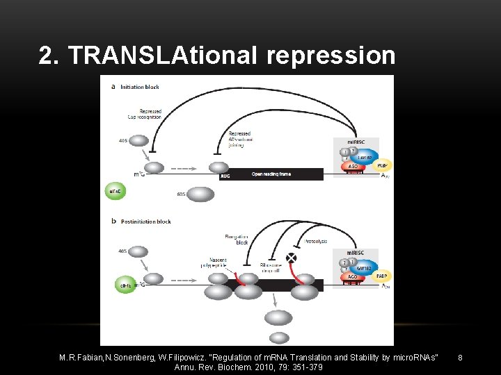 2. TRANSLAtional repression M. R. Fabian, N. Sonenberg, W. Filipowicz. “Regulation of m. RNA