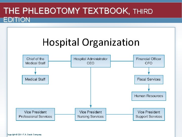 THE PHLEBOTOMY TEXTBOOK, THIRD EDITION Hospital Organization Copyright © 2011 F. A. Davis Company