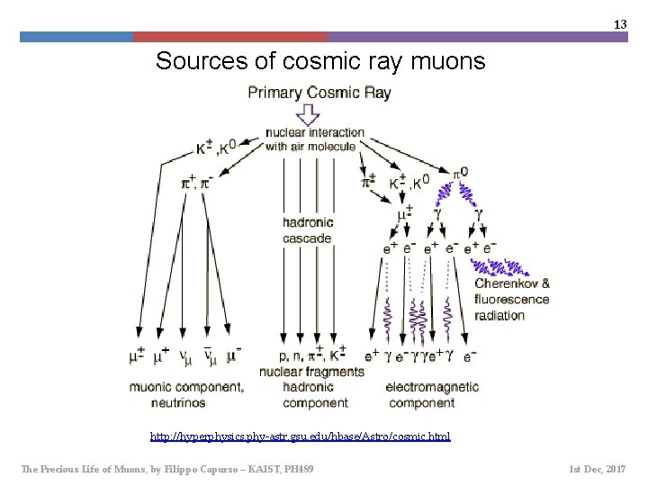 13 Sources of cosmic ray muons http: //hyperphysics. phy-astr. gsu. edu/hbase/Astro/cosmic. html The Precious