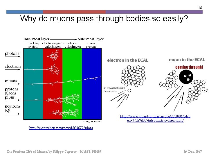 16 Why do muons pass through bodies so easily? http: //www. quantumdiaries. org/2010/04/04/q ed-%CE%BC-introducing-the-muon/