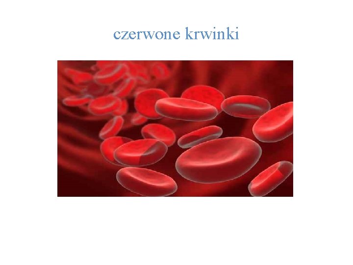 czerwone krwinki 