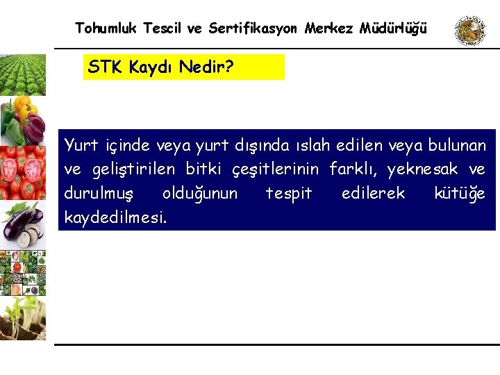 Tohumluk Tescil ve Sertifikasyon Merkez Müdürlüğü STK Kaydı Nedir? Yurt içinde veya yurt dışında