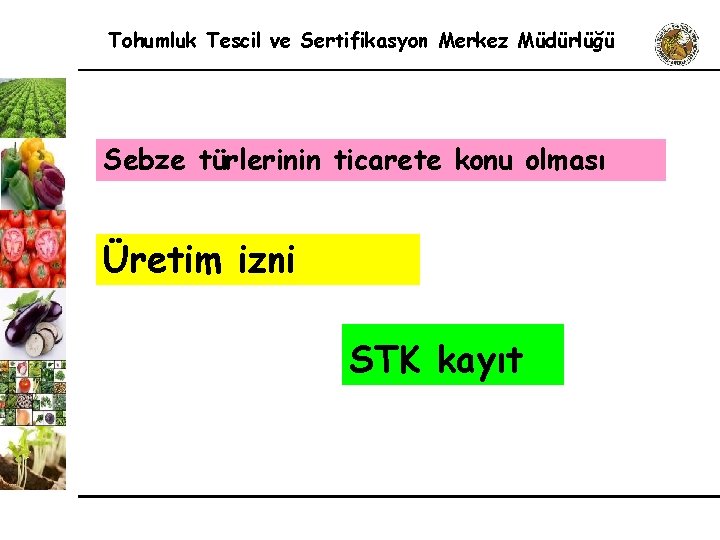 Tohumluk Tescil ve Sertifikasyon Merkez Müdürlüğü Sebze türlerinin ticarete konu olması Üretim izni STK